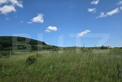 Teren de 3800 mp, în Iris