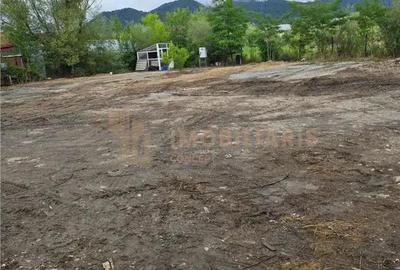 Teren de inchiriat, 10 ari, zona Vasile Lucaciu - 1