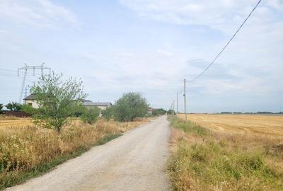 Teren de 8812 mp, în Măgurele - 7