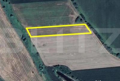 Teren de 8500 mp, în Careiului
