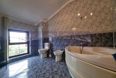 DE INCHIRIAT VILA  D+P+1+2 + CURTE | ZONA PARCUL CAROL - 24