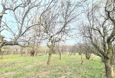 Casă cu 4 camere cu Teren 2335 Mp în Mușetești - 3