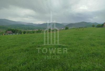 Teren de vinzare in Tropini Vechi - 3