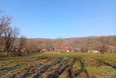 Ciclova, Casa 3 Incaperi, Zona Muntoasa, Schimb cu Gars. in ORAVITA - 17