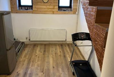 Casa independenta Craiter, 5 camere, D+P+E-M+pod - 5