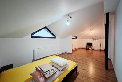 Vila S+P+1+M-318 m2 utili cu 1820 m2 teren situata vis a vis Lidl,Penny,Kaufland - 51