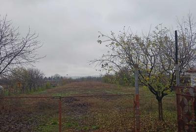 Casă cu 3 camere în Verguleasa - 5