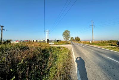 Vanzare teren 10.000mp Calea Surii Mici, direct de la proprietar! - 8