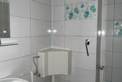 Apartament cu 3 camere decomandat în Dacia - 11