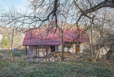 Casă cu 2 camere cu Teren 1000 Mp în Schei - 17