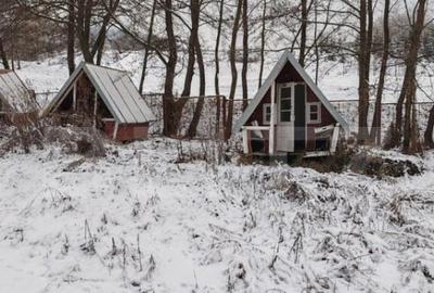 Cabana 3 camere + 1,7 ha teren , Spre Campul Cetatii - 1