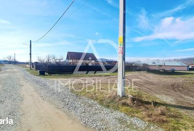 Teren de 3725 mp, în Bumbești-Pițic - 6
