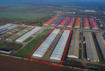 Spațiu industrial, de 5,050 mp, în Palota - 2