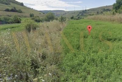 Teren de vanzare, 1000 mp, Luna de Sus - 1