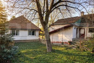 Casă cu 2 camere cu Teren 1275 Mp în Central - 13