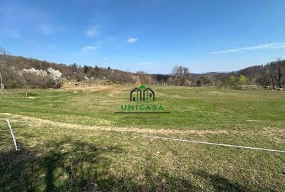 Teren de 8131 mp, în Băile Govora - 1