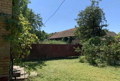 Casă cu 3 camere cu Teren 2275 Mp în Uliuc - 10