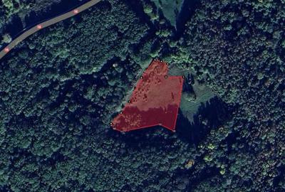 Teren de 8329 mp, în Ciuta - 3