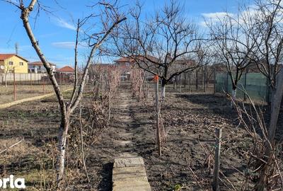 Casă cu 6 camere cu Teren 955 Mp în Gai - 2