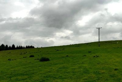 Teren Construcții intravilan de 1113 mp, în Păltiniș - 4