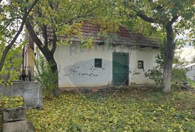 Teren generos cu potential in comuna Silindia, judetul Arad - 1