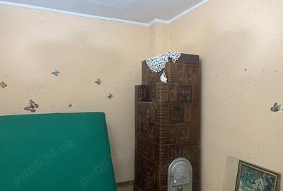 Casă cu Teren 2000 Mp în Central - 4