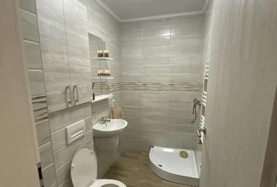 2 camere in zona Buziasului - 3