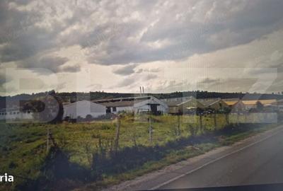 Spațiu comercial, de 3,000 mp, în Arini - 1