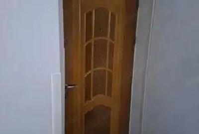 Apartament cu 1 camera in zona Dambovita - 1