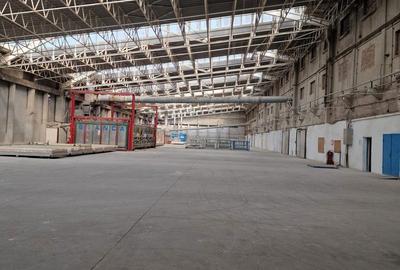 Ploiesti,semicentral, 24000mp, deschidere 264, comercial, rezidential Ploiesti,semicentral, 24000mp, deschidere 264, comercial, rezidential - 5