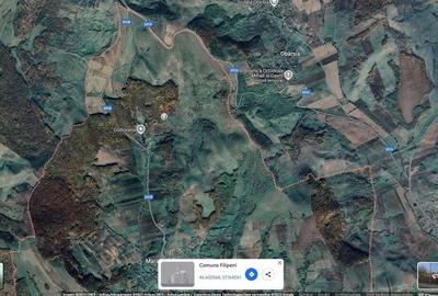 Teren Filipeni, Padure, ID: R2388722 - 7