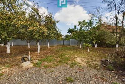 Casa cu teren 2877 mp, ora?ul Ineu - 8