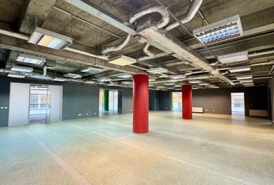 REC3001321 Spatiu de birouri - 443 MP I Universitate I De inchiriat - 1