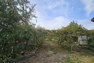 Casa Comuna Balane?ti - 2