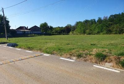 Teren de 600 mp, în Bascov - 3