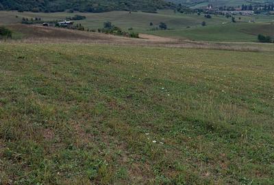 Teren de 8900 mp, în Bradu - 3