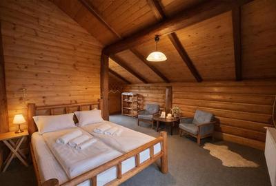 FILM! Resedinte montane,mobilate,echipate, jacuzzi,piscina,pretios areal,Sambata - 15