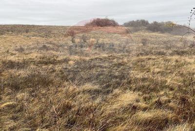 Teren agricol extravilan de 544 mp, în Pădureni (Chinteni) - 5