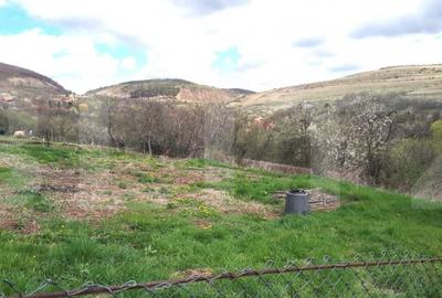 Teren de 800 mp, în Ciurila - 2