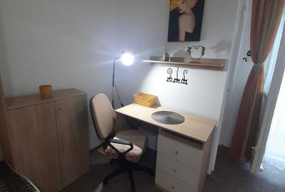 Apartament cu 1 camera, PET FRIENDLY, zona Tatarasi - 2