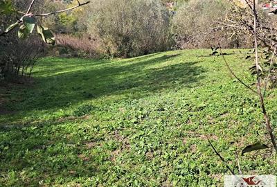 Casa de vanzare in Ghirbom - Berghin- 3800 mp teren - 12