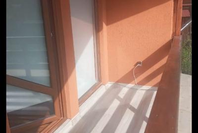 Casă de vacanță de vinzare Rusu Bargaului - 6