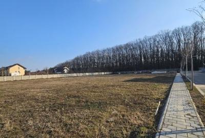 Teren de vanzare in Corbeanca - 3937 mp, amplasat intr-un cartier rezidential. Teren de vanzare in Corbeanca - 3937 mp, amplasat intr-un cartier rezidential. - 2