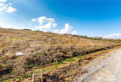 Teren de 750 mp, în Săldăbagiu de Munte - 1