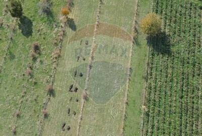 Teren de vanzare in Leresti - ideal pentru casa sau pensiune la munte - 13