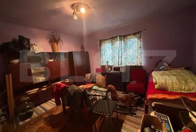 Casă cu 2 camere cu Teren 2000 Mp în Nușfalău - 4