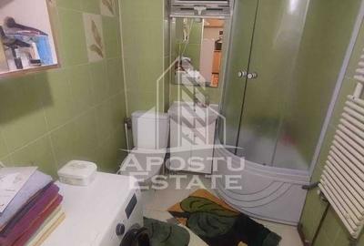 Apartament cu 2 camere decomandat, mobilat în Iosefin - 8