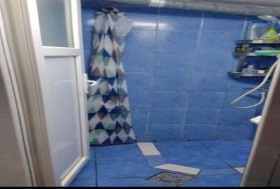 Casa la curte, intre statia de metrou Dristor si parcul IOR - 7