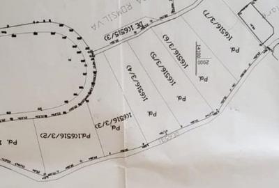 Bucium-Pietrărie, teren 5000 mp, la asfalt, pădure - 3