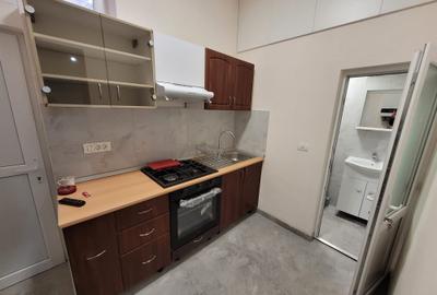 Garsonieră semidecomandată, mobilată în Iosefin - 10